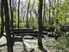 kampvuurkuil